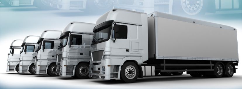 للمسرحين من العمل .. إطلاق مبادرة شغل مهنة سائق قاطرة مقطورة في منشآت القطاع الخاص