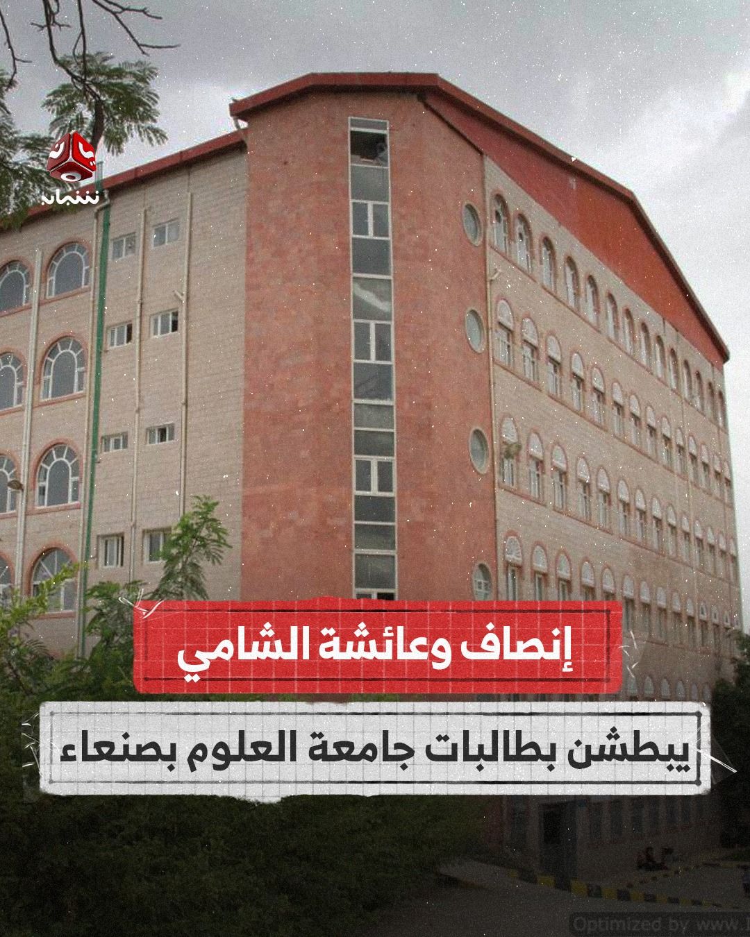 زينبيات الحوثي يبطشن بطالبات جامعة العلوم والتكنولوجيا في صنعاء 