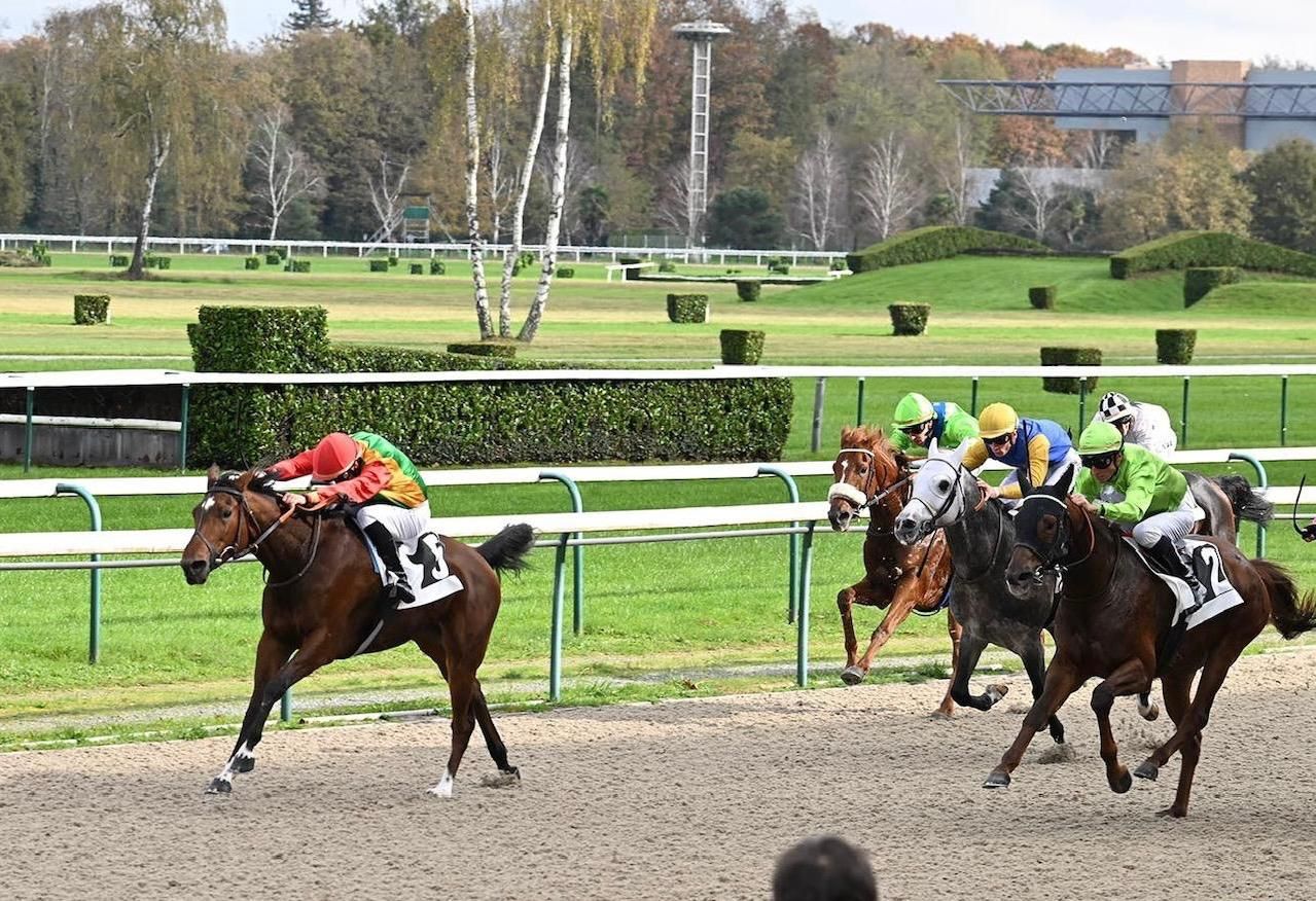 الفرس “صوارم” الخيالة السلطانية يحقق المركز الأول في منافسات الخيول العربية الأصيلة