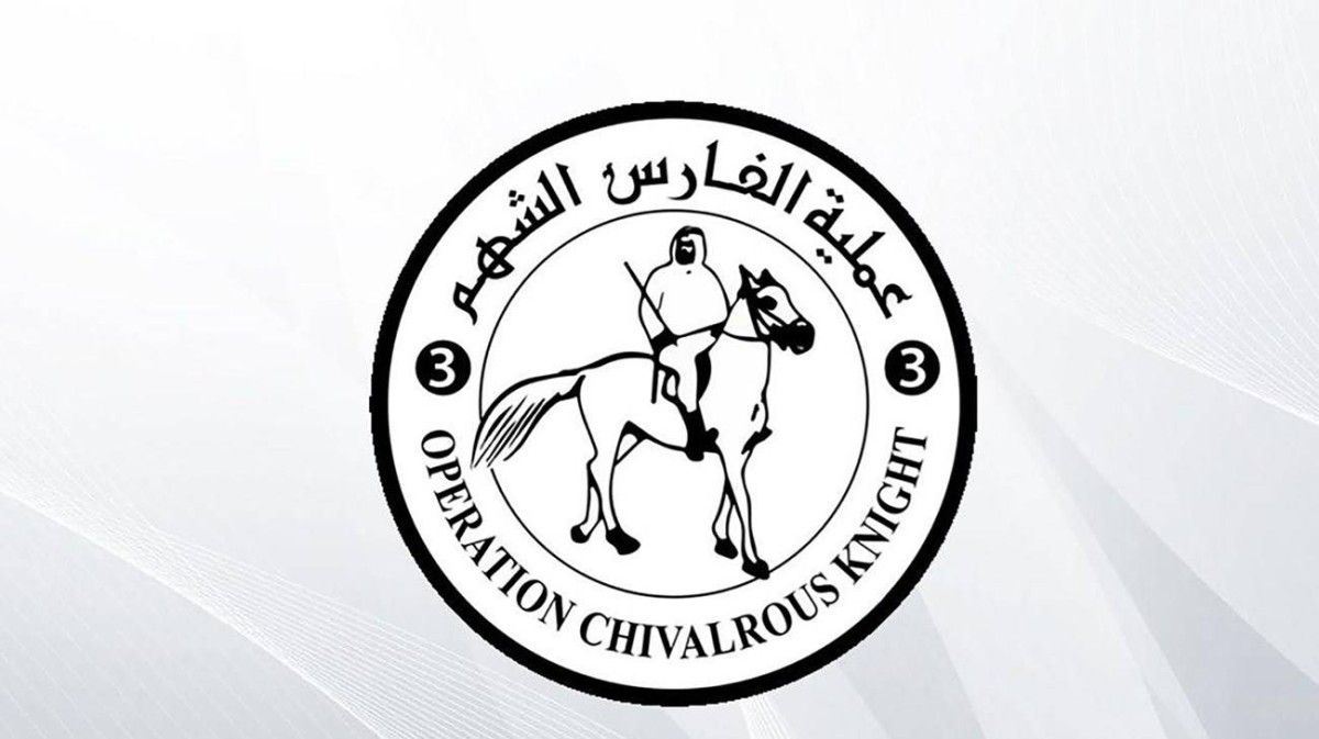 سفينة المساعدات الإماراتية الخامسة تصل العريش ضمن «الفارس الشهم 3»