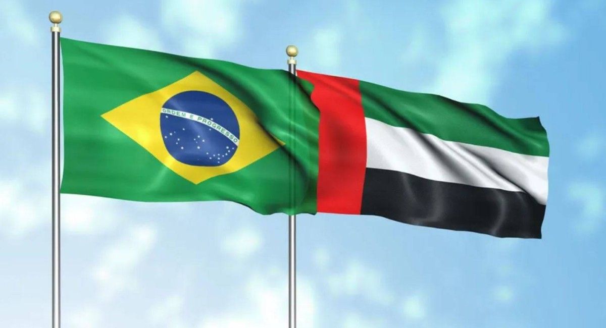 الإمارات والبرازيل.. رؤى مشتركة تدعم أجندة عمل مجموعة العشرين