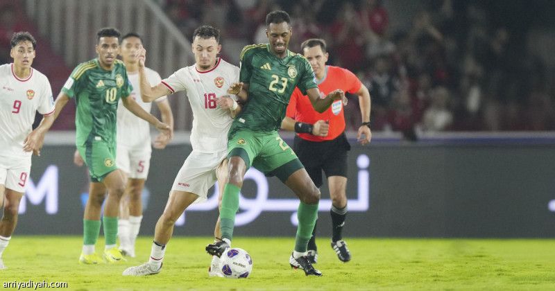 ريشة: الهدف الأول غير صحيح.. والأخضر يستحق «جزائية»