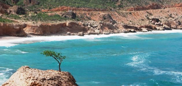 النشرة الأسبوعية لمتابعة النشاط المداري في بحر العرب