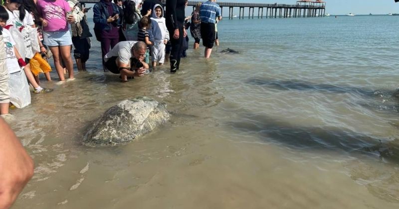 ألف متطوع ومتطوعة شاركوا بتنظيف حديقة شاطئ «أبراج الكويت»