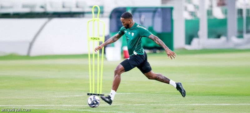 توني ضوء أخضر.. وألكسندر انتظار