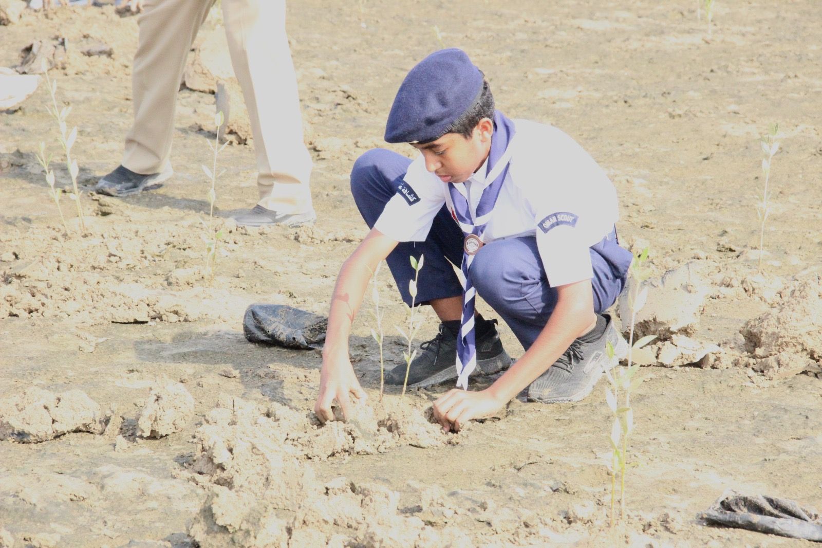 هيئة البيئة تستزرع 2000 شجرة قرم بولاية شناص