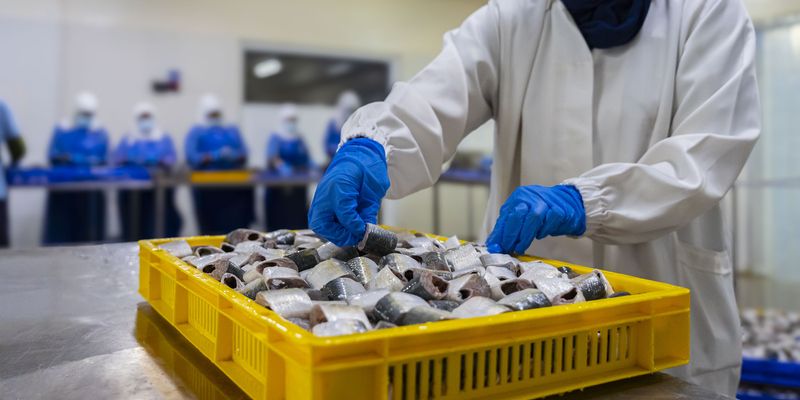 الاثنين.. مناقشة الواقع الحالي والفرص المتاحة في الأمن الغذائي