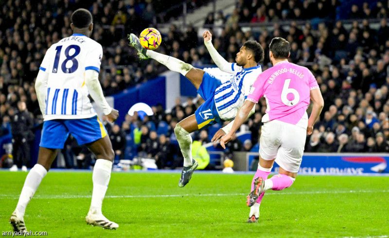 ساوثهامبتون يحبط برايتون