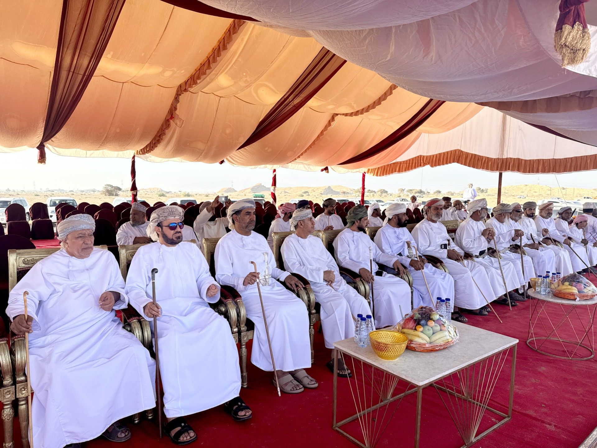 بمشاركة أكثر من 150 ناقة.. انطلاق فعاليات عرضة الهجن بالبريمي