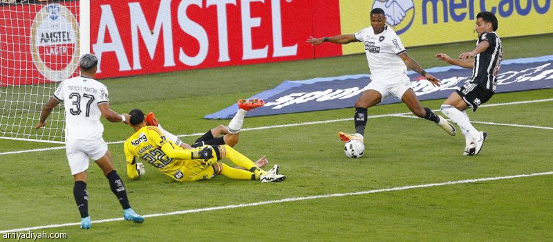 المرة الأولى.. بوتافوجو يخطف لقب كوبا ليبرتادوريس