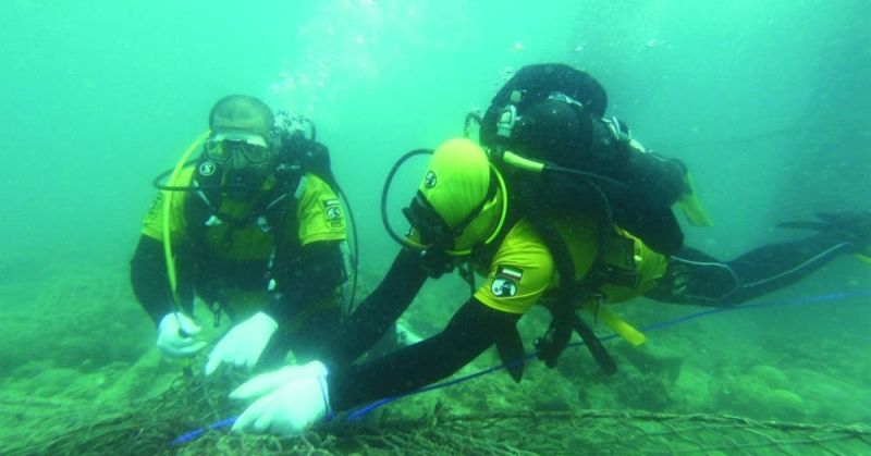 «الغوص» ينال شهادة عالمية لجهوده بحماية الشعاب المرجانية