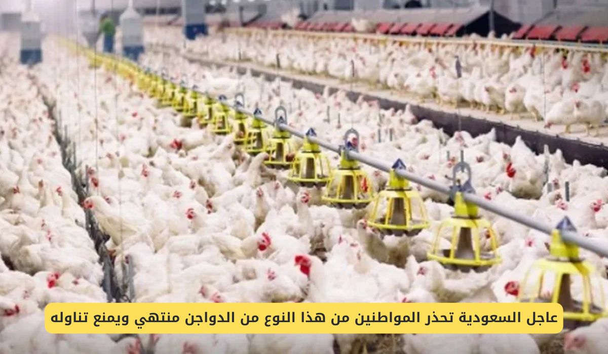 السعودية تحذر المواطنين من شراء هذا النوع من الدواجن منتهي ويمنع تناوله وقد يسبب تسمم غذائي