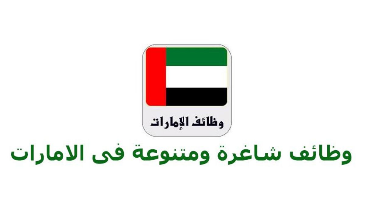 التخصصات والمهن المطلوبة في الإمارات 2024 .. رواتب و عقود العمل في الامارات ٢٠٢٤