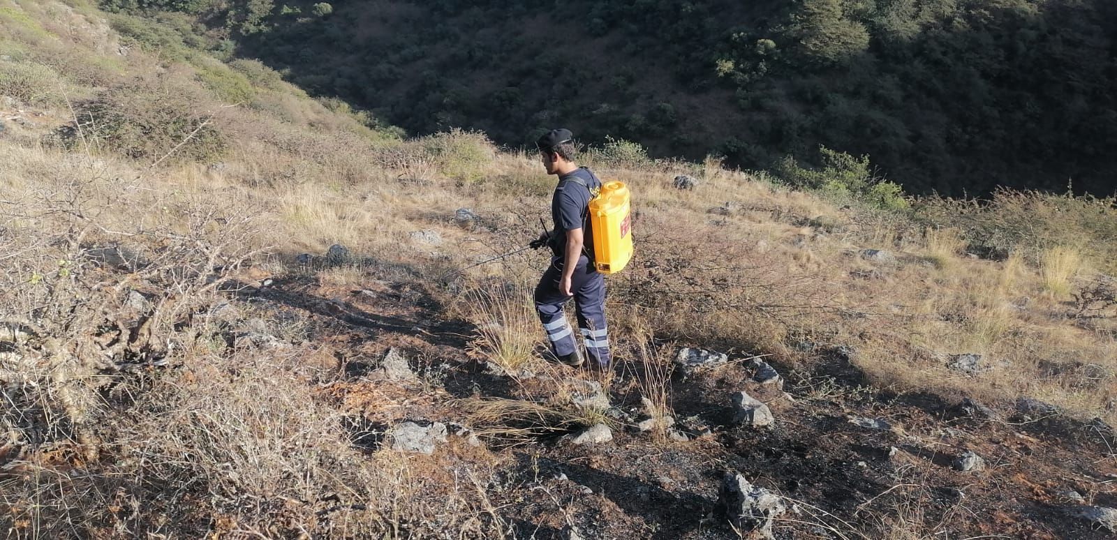 إخماد حريق شب في حشائش بمنطقة حجيف بولاية ‎صلالة