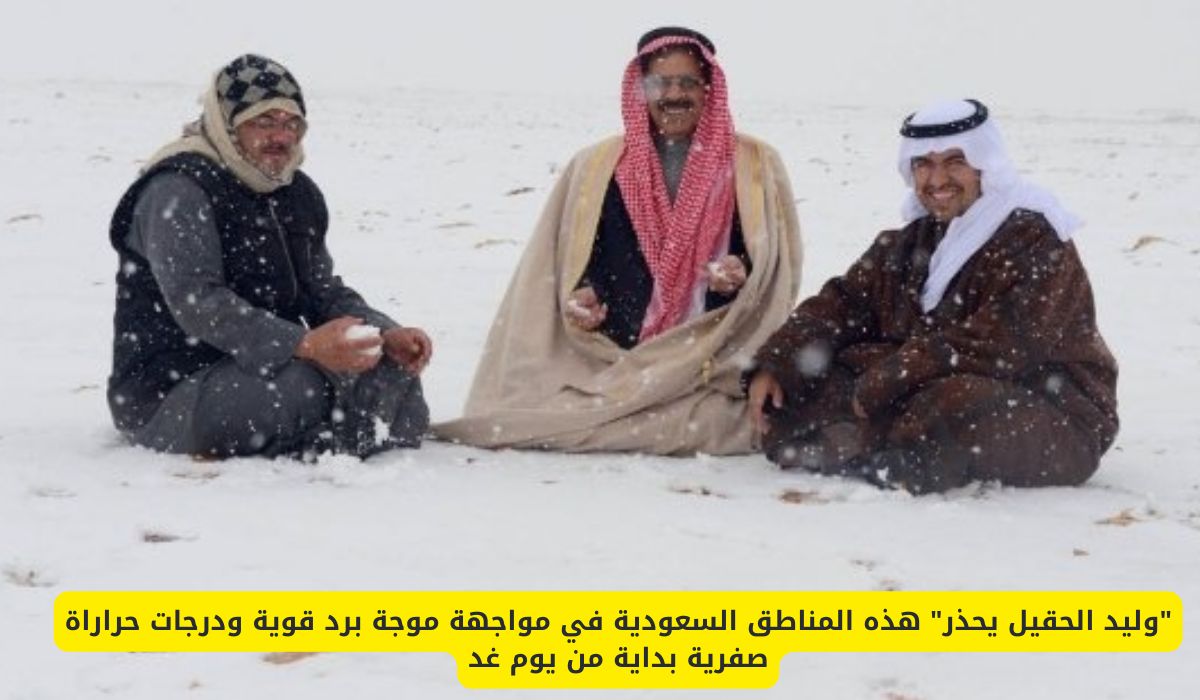 وليد الحقيل يحذر: هذه المناطق السعودية تشهد موجة برد قوية ودرجات حرارة صفرية بداية من يوم غد