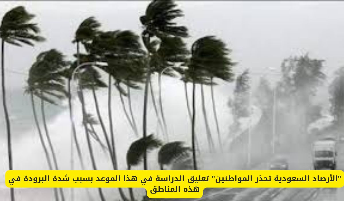 "الأرصاد السعودية تحذر المواطنين" تعليق الدراسة في هذا الموعد بسبب شدة البرودة في هذه المناطق