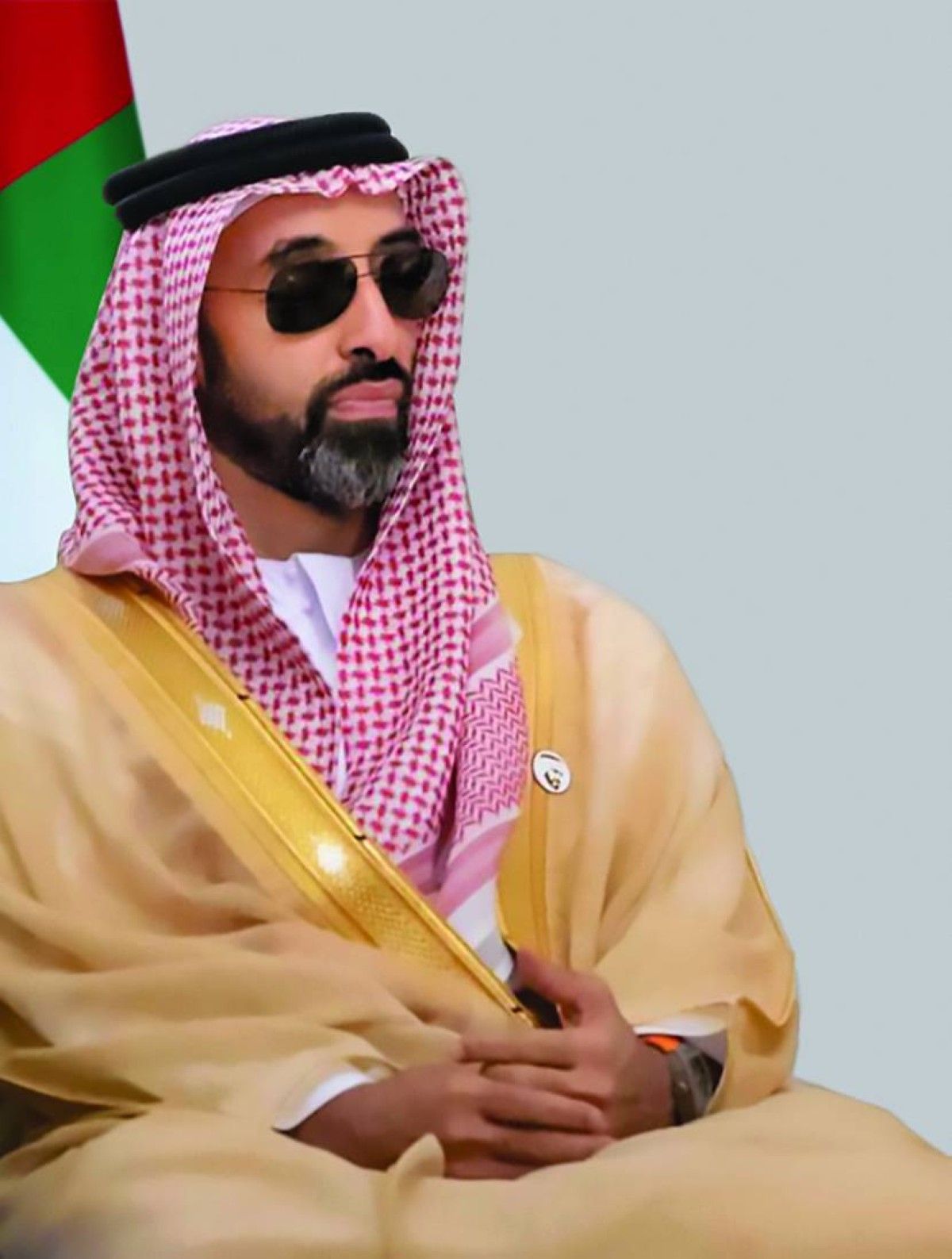 طحنون بن زايد: الإمارات والبحرين نموذج متميز لعلاقات التعاون