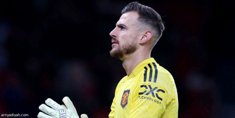 الشباب يتفق مع حارس نيوكاسل