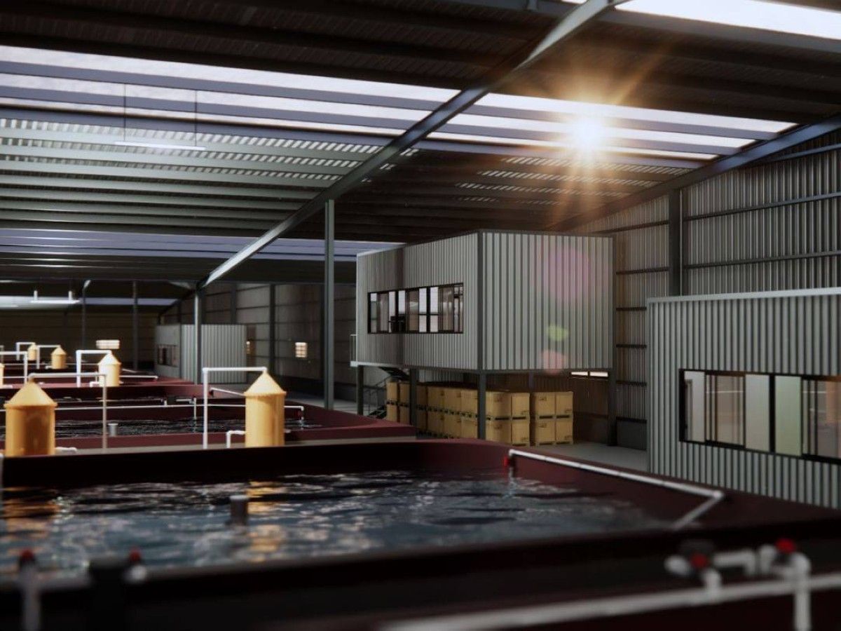 شراكة بين «القابضة» (ADQ) وشركة كورية لاستزراع الروبيان في أبوظبي