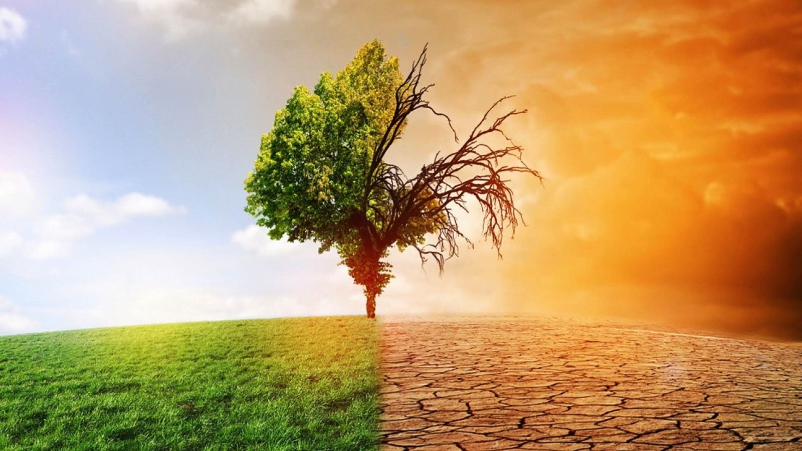 كيف يعرض التغير المناخي وجهات سياحية للخطر ؟