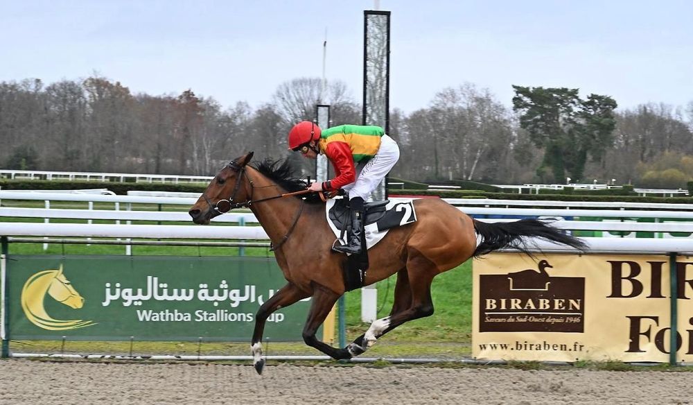 الفرس صوارم للخيالة السلطانية تفوز بكأس اسطبلات الوثبة على مضمار بو الفرنسي