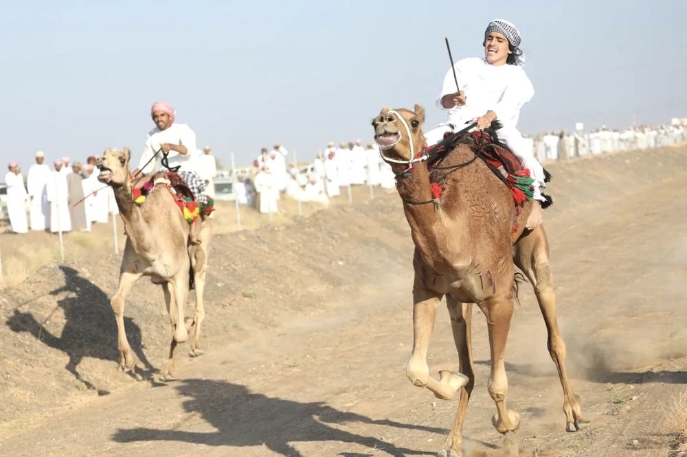 ختام المرحلة النهائية من التصفيات الأولية لسباقات مهرجان العرضة والزمط بولاية بدية