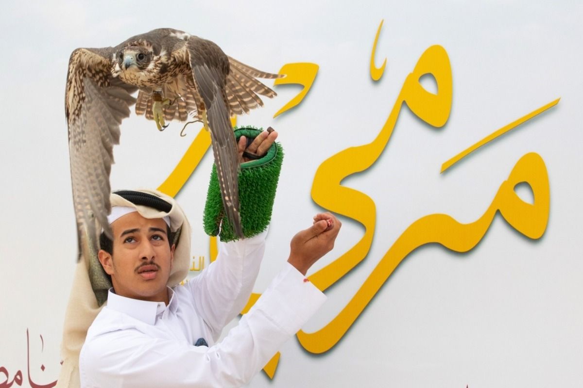 بدء التسجيل في بطولات مهرجان قطر الدولي للصقور والصيد "مرمي 2025" غدا