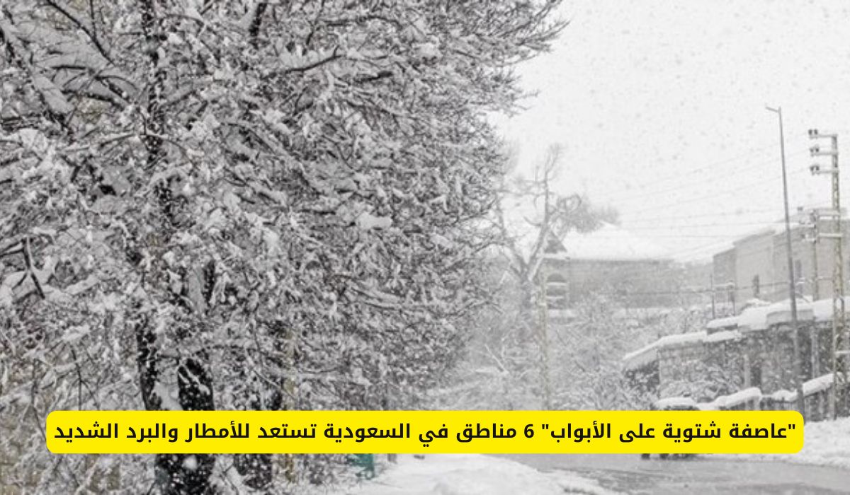 "عاصفة شتوية على الأبواب" 6 مناطق في السعودية تستعد للأمطار والبرد الشديد