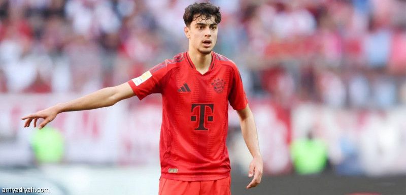 بافلوفيتش: أحلم بأبطال أوروبا مع البايرن