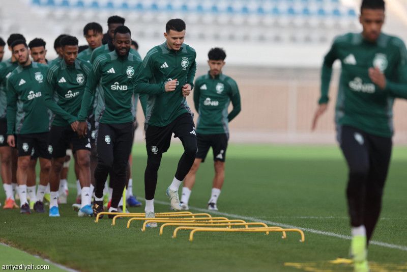 بين «الصقور» و«الأسود».. العاشرة حاسمة