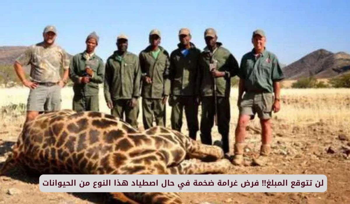 السعودية تعلن فرض غرامة ضخمة في حال اصطياد هذا النوع من الحيوانات