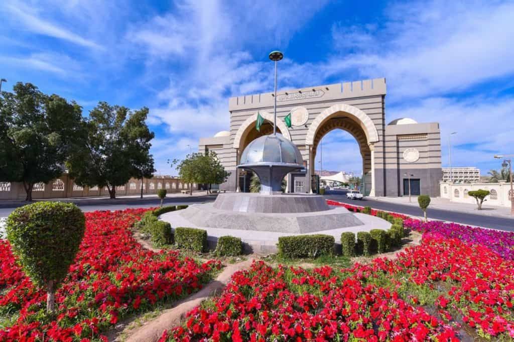 الجامعة الإسلامية بالمدينة المنورة تدشن منصة المخطوطات.. إليك أهميتها