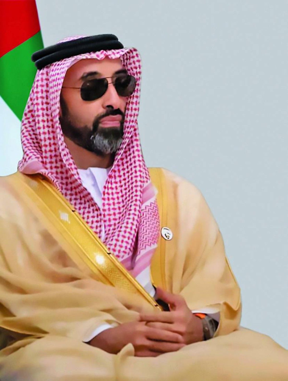 طحنون بن زايد: نتطلع لعام جديد تمضي فيه دولة الإمارات إلى ريادتها العالمية