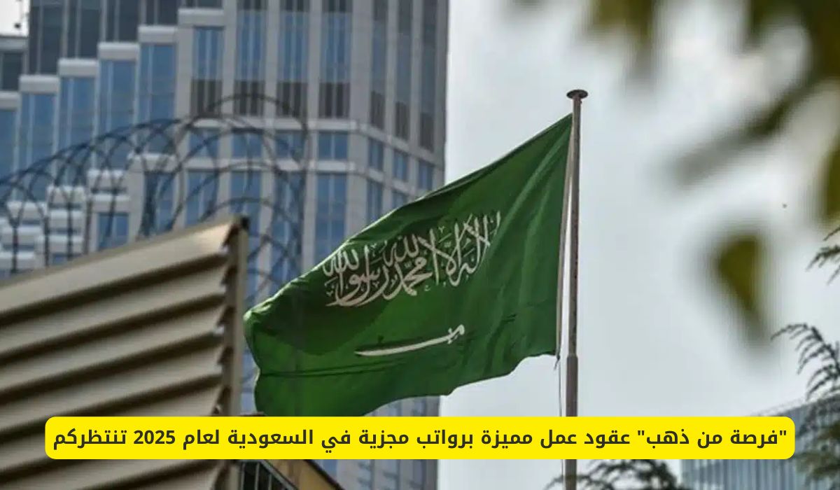 "فرصة من ذهب" عقود عمل مميزة برواتب مجزية في السعودية لعام 2025 تنتظركم