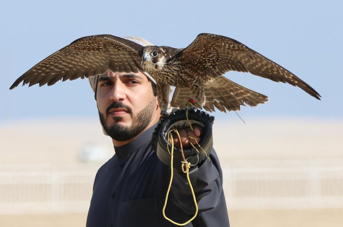 انطلاق بطولة "الطلع" ضمن فعاليات مهرجان قطر الدولي للصقور والصيد