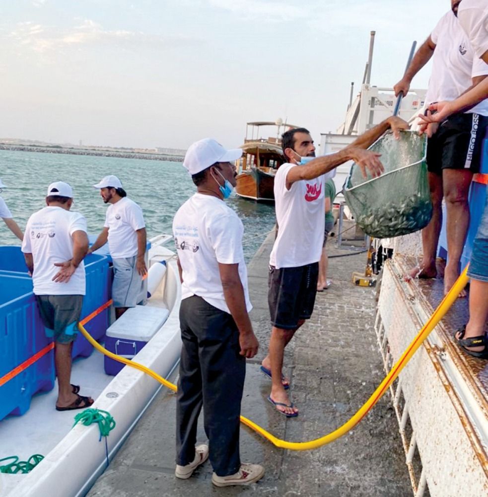 للأسماك ذات القيمة الاقتصادية.. «البلدية»: تطوير أساليب الإنتاج السمكي وزيادة المخزون