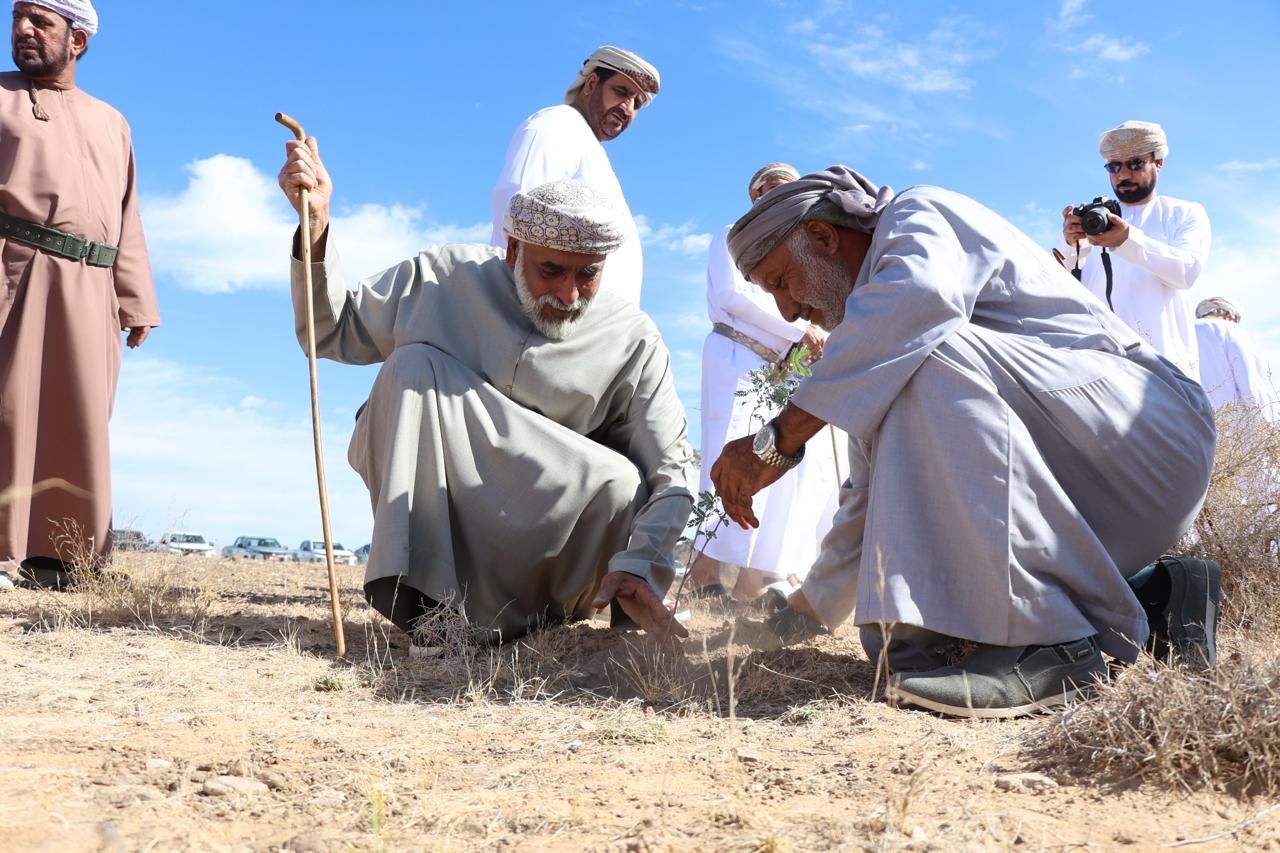 إطلاق مبادرة واحة محضة البرية لتربية النحل بالبريمي