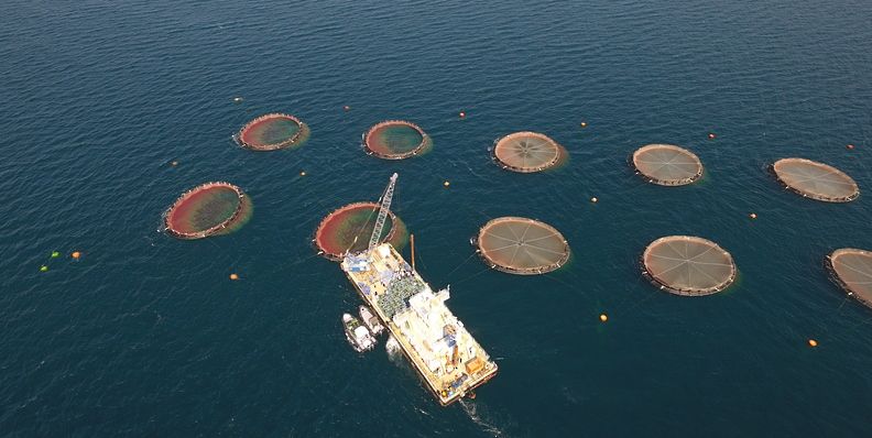 عُمان الأولى خليجيًّا وتحتل المرتبة الـ 17 عالميًّا في مؤشر المصائد السمكية