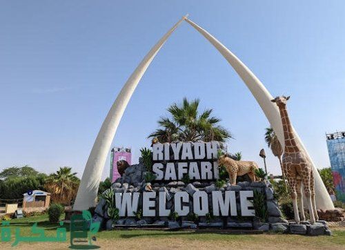 5 أماكن ونشاطات يمكن زيارتها في الرياض على مدار السنة ولن تشعر بالملل