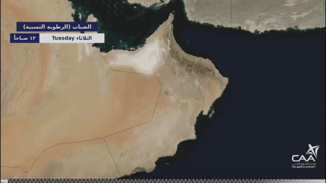 فرص تشكل السحب المنخفضة والضباب فترة آخر الليل إلى صباح الغد