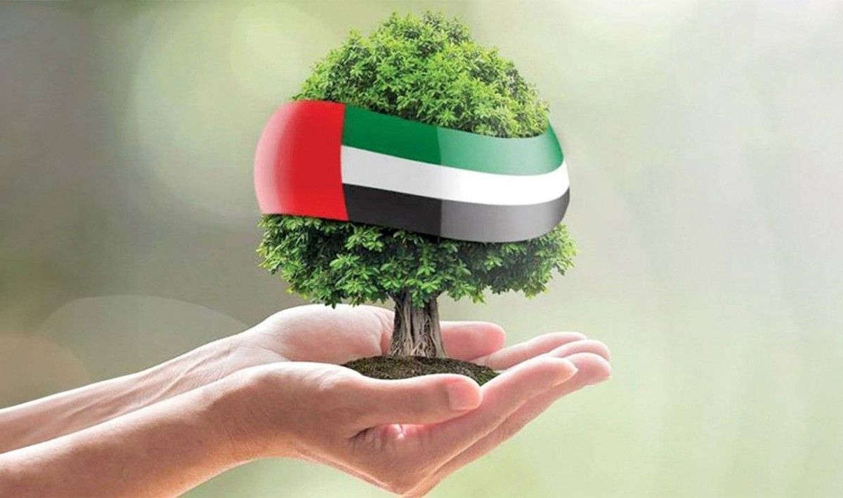 الإمارات .. ريادة في تسريع وتيرة الاستدامة