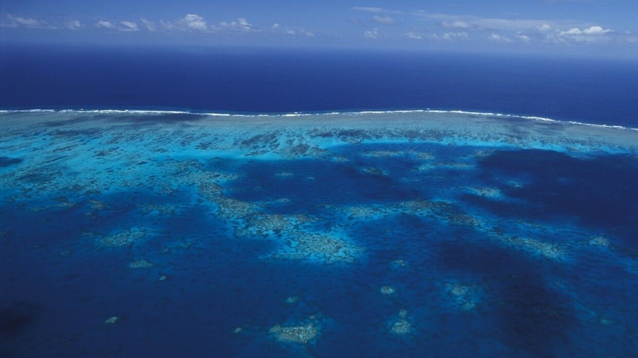 المحيط العالمي يسجل رقم قياسي بدرجة عام 2024