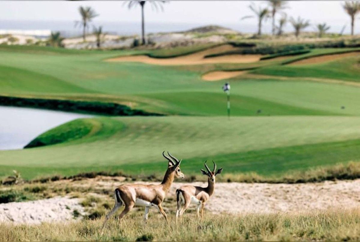 المتنزهات الطبيعية في الإمارات .. تجسيد متكامل لمفهوم السياحة الخضراء