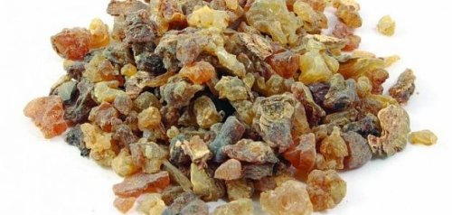 خبير يحذر من هذا الخطر الذي بدء ينتشر في المساجد والبيوت في السعودية