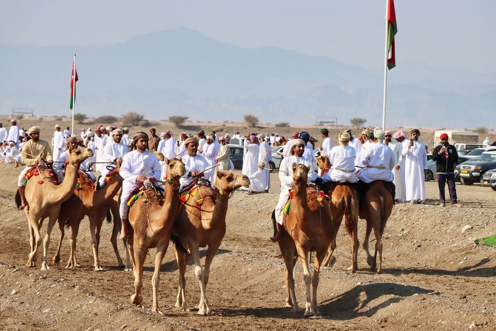 ختام مهرجان الأصالة للهجن والخيل بولاية صحم