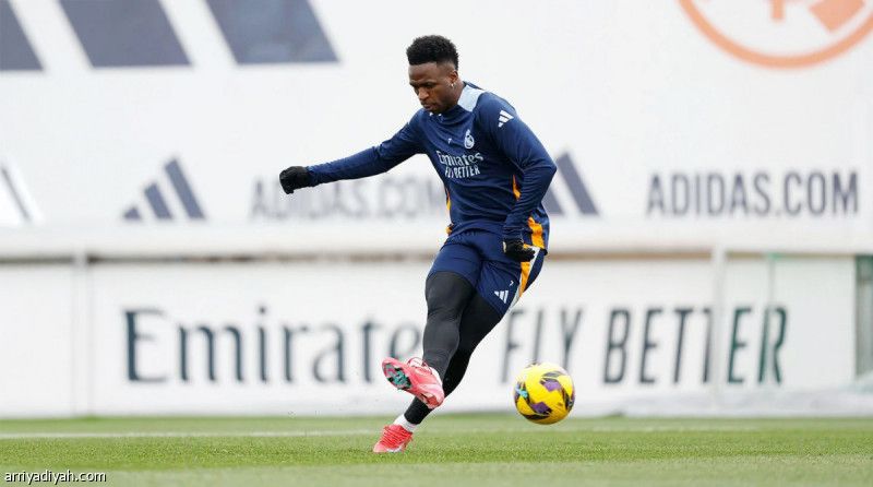 أنشيلوتي: فينيسيوس لن يغادر الريال