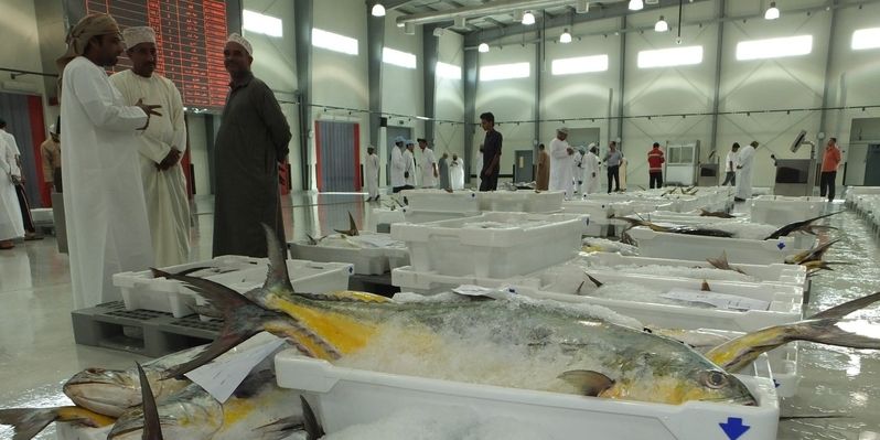 إجمالي الأسماك المنزلة بالصيد الحرفي يبلغ أكثر من 477 ألف طن