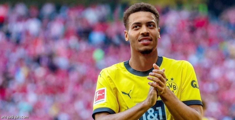 نميشا يغيب عن دورتموند