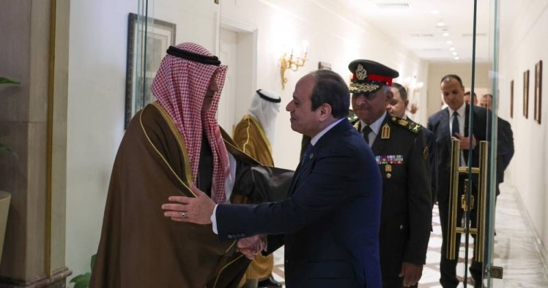 الرئيس المصري يستقبل النائب الأول