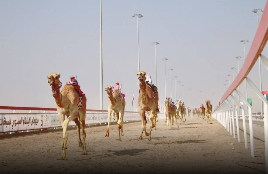 سلطنة عمان وقبرص توقّعان مذكرتي تفاهم لتعزيز التعاون البحري